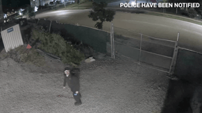 Screenshot 2026-03-12 at 9.57.19 AM